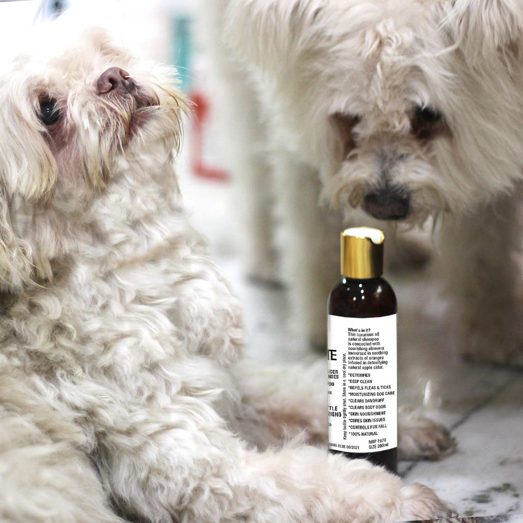 Shampoo to clearance whiten dog fur