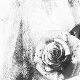 Face Soap ** Natural * Handmade